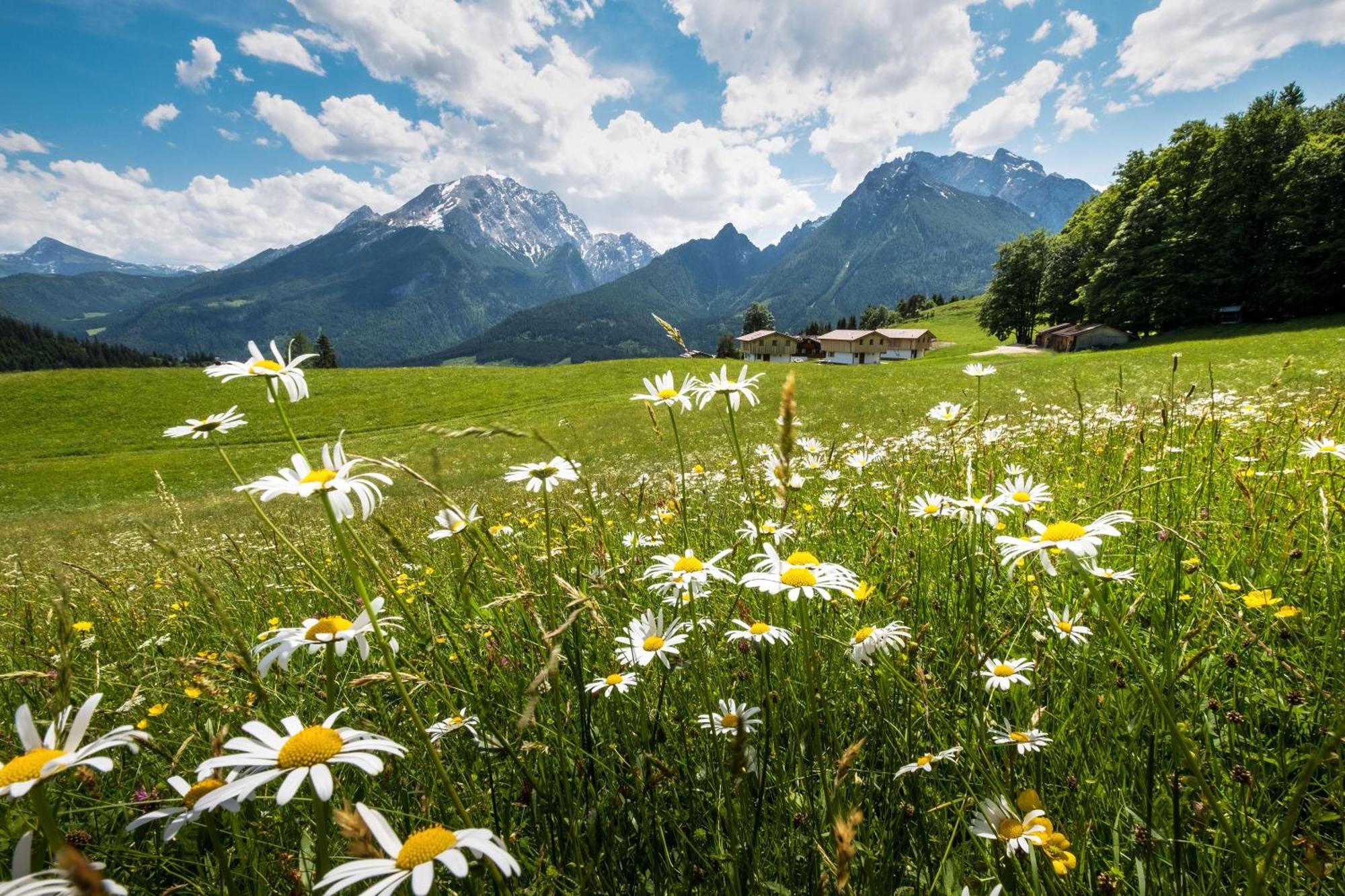 Ettlerlehen Chalets Ramsau bei Berchtesgaden Extérieur photo